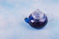 Closeup blue anchan tea in glass pot on the blue background. Blue tea Butterfly pea