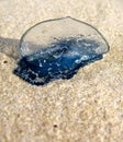 Blue bottle on the beach Royalty Free Stock Photo