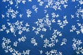 Closeup of blue cotton fabric Royalty Free Stock Photo