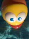 Closeup blue eyes of yellow fish plastic toy