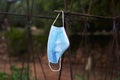 Mask hanging from a tomato vine support in orchard