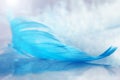 Closeup of blue feather on blurred background. Beautiful artistic tender image. Selective focus