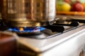 closeup blue flame burning gas. cooking on a stove Royalty Free Stock Photo