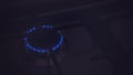 Closeup of blue gas flame on domestic kitchen stove. Gas cooker with burning flames Royalty Free Stock Photo