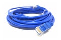 closeup of blue network cable on white Royalty Free Stock Photo