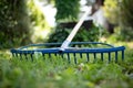 Closeup of a blue rake on the green lawn.