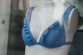 blue stripped bikini on mannequin in fashion store showroom for women
