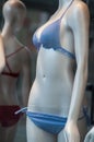 blue stripped bikini on mannequin in fashion store showroom for women