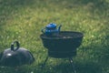 Closeup of a blue teapot on a grill weber isolated on the green grass