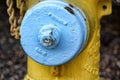 Closeup of a blue and yellow fire hydrant Royalty Free Stock Photo