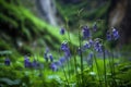 closeup of bluebell flowers growing on a natural green forest background Royalty Free Stock Photo