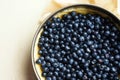 Closeup of blueberry cake ready for baking. Royalty Free Stock Photo
