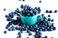 Closeup blueberry in ceramic cup and small piles of blueberry Royalty Free Stock Photo