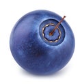 Closeup of blueberry.