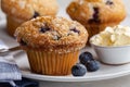 Closeup of a Blueberry Muffin and Fresh Berries Royalty Free Stock Photo