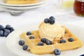 Closeup blueberry and vanilla ice cream waffles Royalty Free Stock Photo