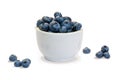 Closeup blueberry in white ceramic cup on white background isolated Royalty Free Stock Photo