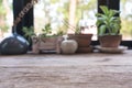 Closeup blur image of a wooden table with flowerpots