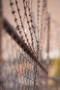 A closeup with blurred background of wire lattice fencing and ba Royalty Free Stock Photo