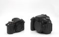 Body of Mirrorless Camera and DSLR Camera Isolated on White Back