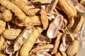 Closeup of boiled peanuts shell