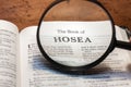 closeup of the book of Hosea from Bible or Torah using a magnifying glass to enlarge print. Royalty Free Stock Photo