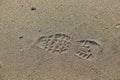 Bootprint. Royalty Free Stock Photo