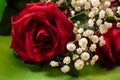 Closeup of a bouquet of beautiful red roses with a green wrapping paper Royalty Free Stock Photo