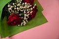 Closeup of a bouquet of beautiful red roses on a pink surface Royalty Free Stock Photo