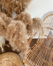 Closeup of a bouquet of decorative brown dry pampas grass in the vase on the table
