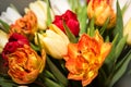 Closeup bouquet of fresh colorful tulips. Valentines day, women day, mothers day, spring, romance and love. Tulip symbol of spring Royalty Free Stock Photo