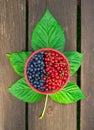 Closeup bowl of blueberries and red currant with green leafs on wooden table background