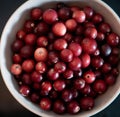 Closeup of a bowl of cranberries