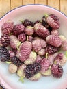 Closeup bowl of fresh mulberry fruits