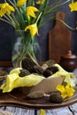 Closeup of a box with morels and a vase with yellow wild tulips on a dark wooden background. Vertical