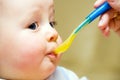 Closeup of boy eating