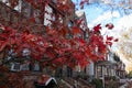 Branches of a Beautiful Red Tree during Autumn in front of a Row of Old Brick Homes in Long Island City Queens New York Royalty Free Stock Photo