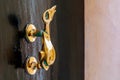 Closeup of brass vintage knocker as dolphin with a trident-shaped tail at black wooden door Royalty Free Stock Photo