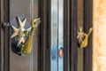 Closeup of brass vintage knockers as dolphin with a trident-shaped tails and Maltese cross at black wooden door