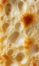 A closeup of the bread texture, showcasing its soft and airy surface with visible bubbles and subtle variations in its Royalty Free Stock Photo