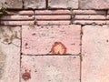 Closeup brick texture and background