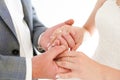 Closeup of a bride and groom holding hands isolated over a white background Royalty Free Stock Photo