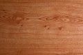 Closeup of bright brown natural wooden texture. Surface of timber material. Wooden pattern