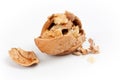 Closeup of a briken walnut