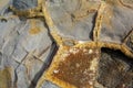 Closeup of broken Moeraki Boulder, New Zealand