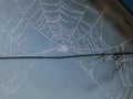 Closeup of broken spider web covered with water droplets at the back of a metallic wire Royalty Free Stock Photo