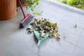 Closeup broom, dustpan and leaves of ivy. Cleaning and preparing the balcony garden for summer.