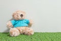 Closeup cute brown bear doll on artificial grass floor and cream wallpaper wall textured background with copy space