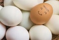 Closeup brown chicken egg with paint in smile face on pile of white duck egg on wood basket background