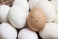 Closeup brown chicken egg with paint in tried face emotion on pile of white duck egg on wood basket background